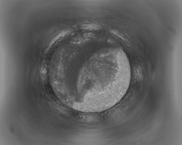 X0000112511254200909280948