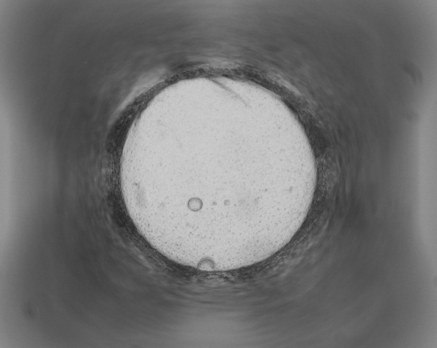 X0000112511255200909280948