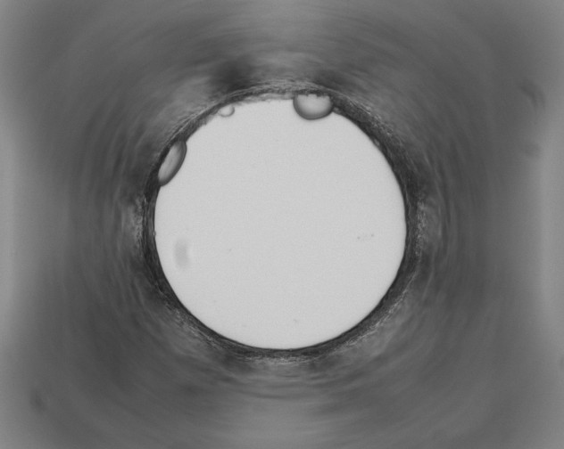 X0000112511257200909280948