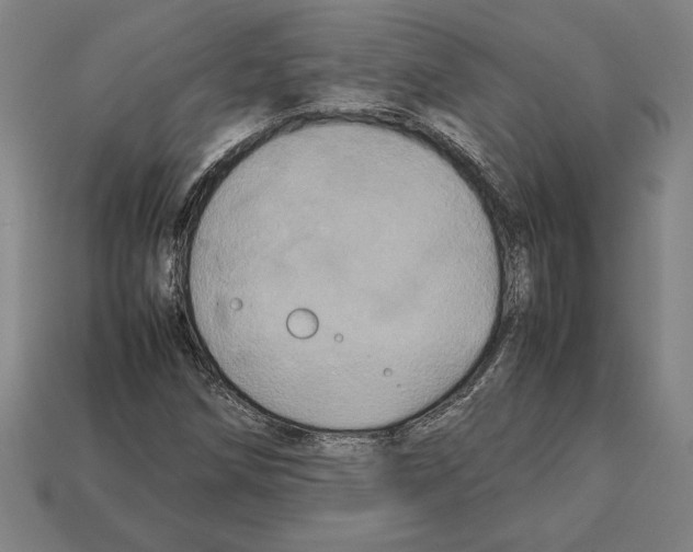 X0000112511258200909280948