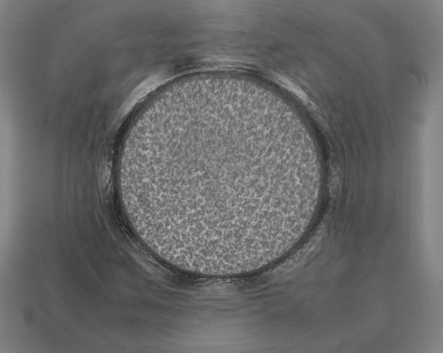 X0000112511259200909280948