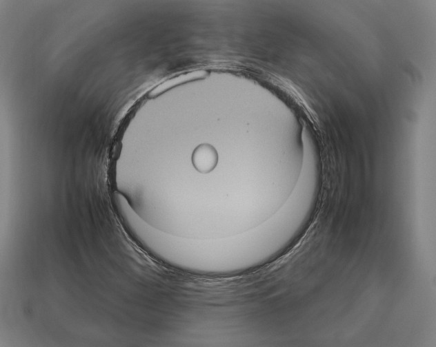 X0000112511260200909280948