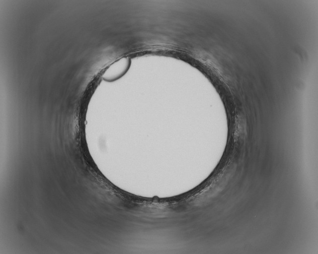 X0000112511261200909280948