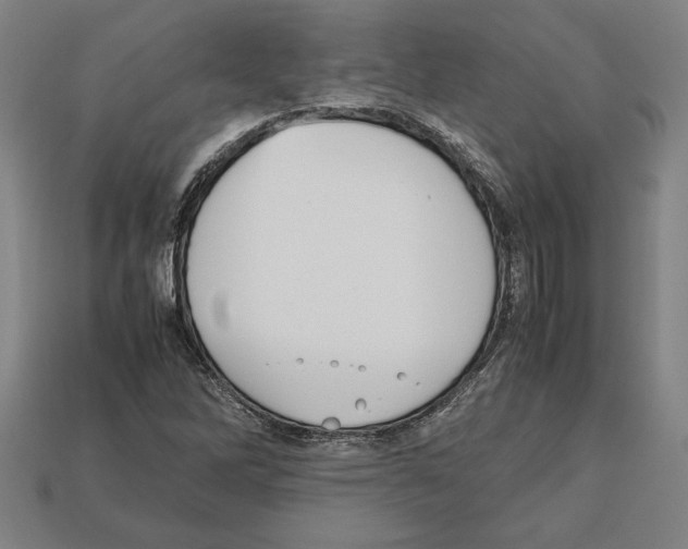 X0000112511262200909280948