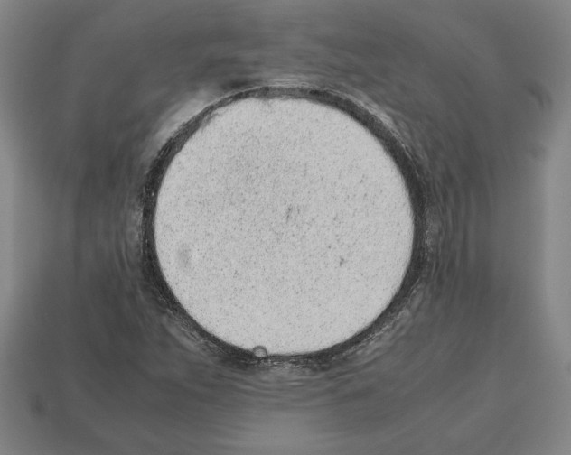 X0000112511263200909280948