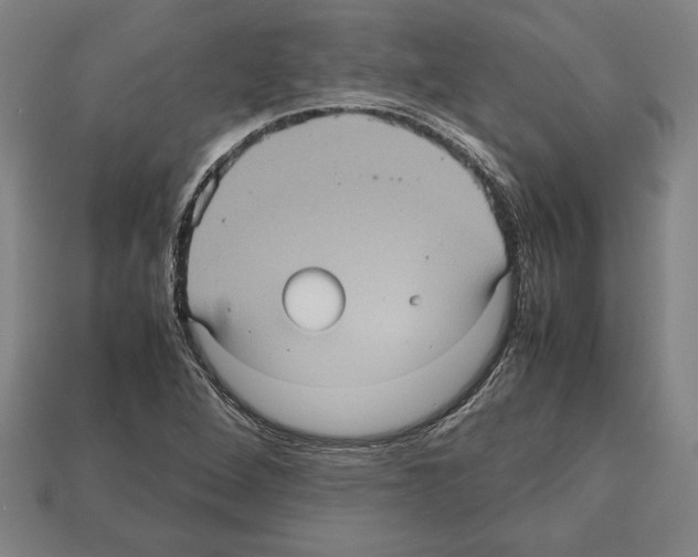 X0000112511264200909280948