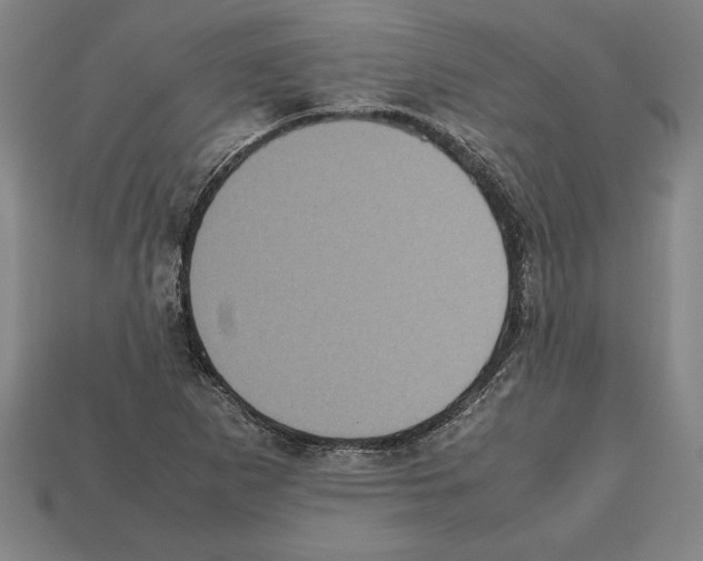 X0000112511265200909280948