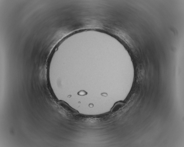 X0000112511268200909280947