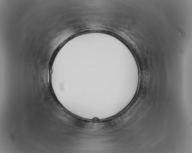 X0000112511269200909280947