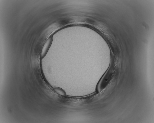 X0000112511273200909280947