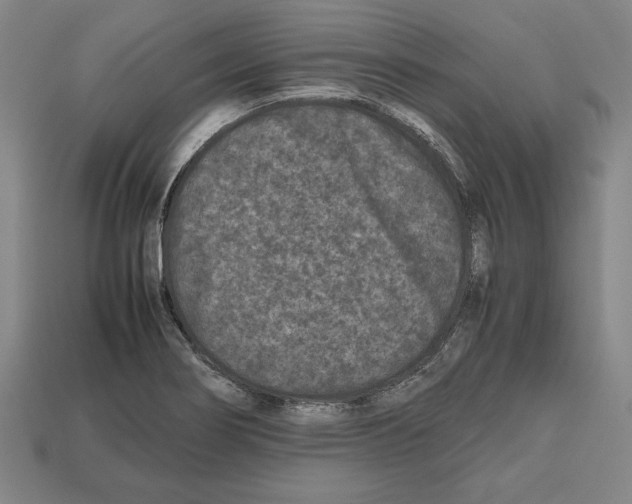 X0000112511274200909280947