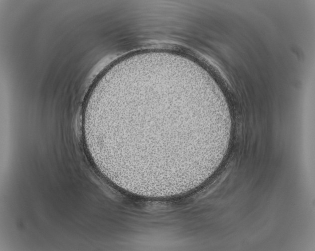 X0000112511275200909280947