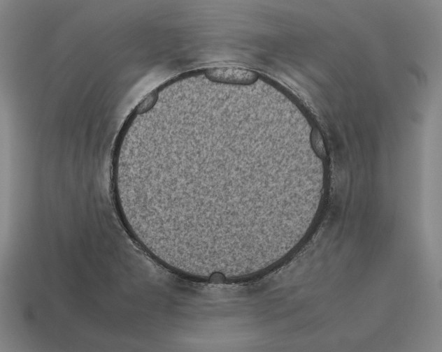 X0000112511277200909280947