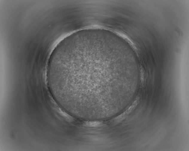 X0000112511278200909280947