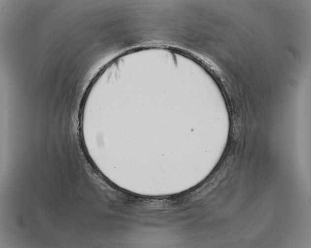 X0000112511279200909280947