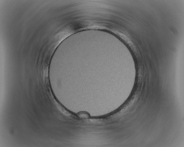 X0000112511281200909280947