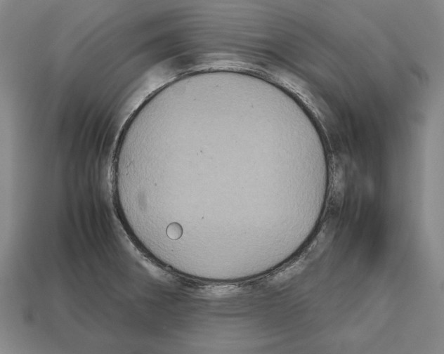 X0000112511282200909280947