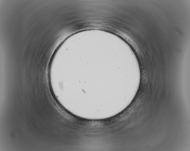 X0000112511283200909280947