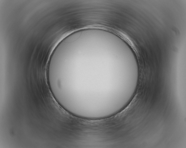 X0000112511284200909280947