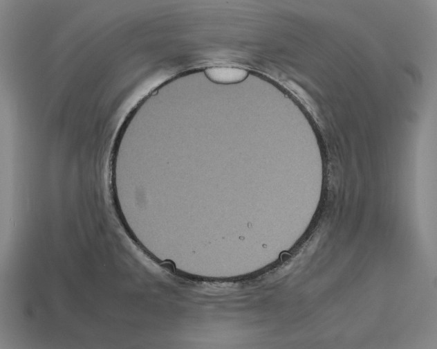 X0000112511285200909280947