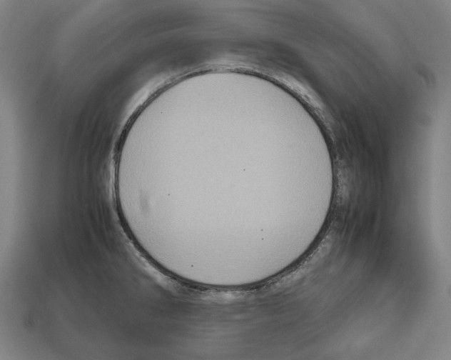 X0000112511286200909280947