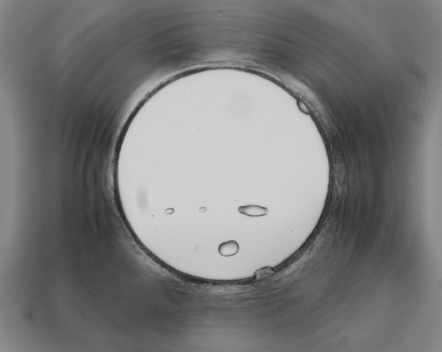 X0000112511288200909280947