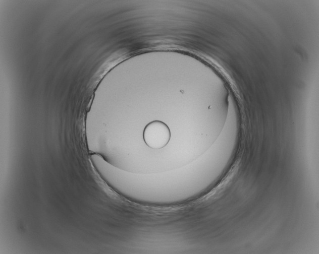 X0000112511289200909280947