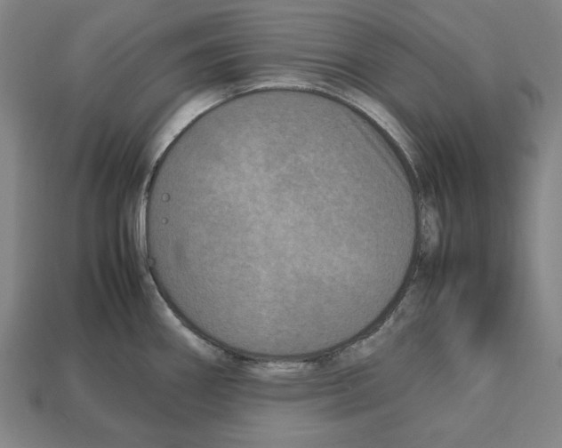 X0000112511290200909280947