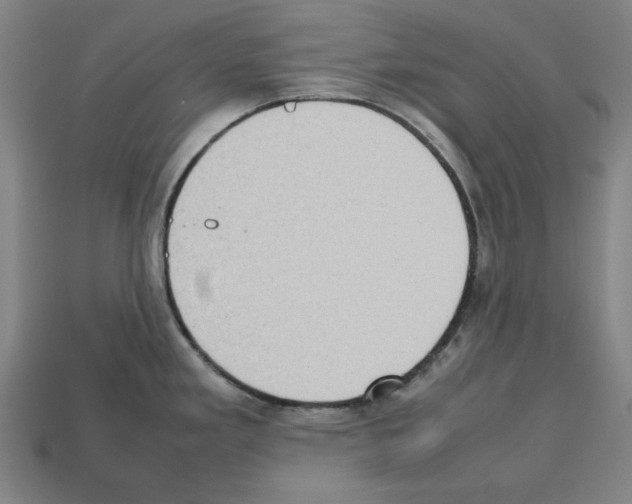 X0000112511293200909280947