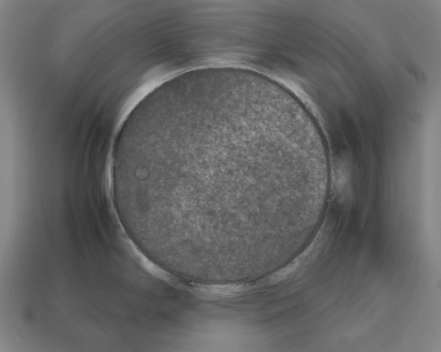 X0000112511294200909280947