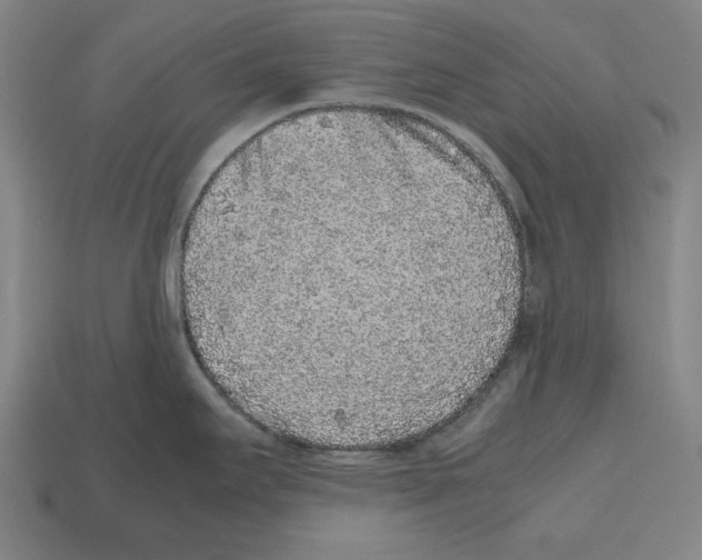 X0000112511295200909280947