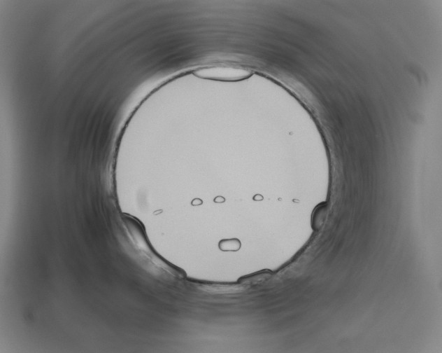 X0000112511296200909280947