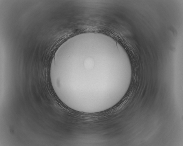 X0000112511300200909280946