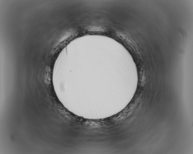 X0000112511301200909280946