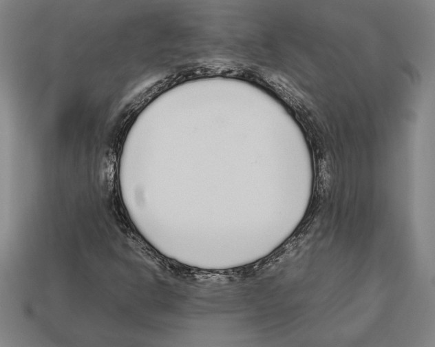 X0000112511302200909280946