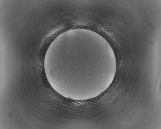 X0000112511303200909280946