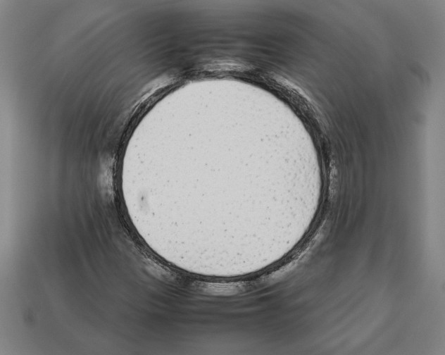 X0000112511305200909280946