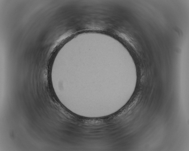 X0000112511307200909280946