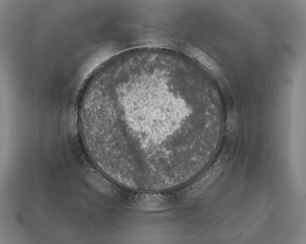 X0000112511310200909280947