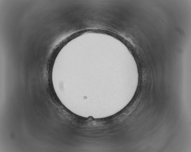 X0000112511311200909280947