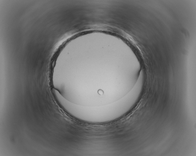 X0000112511312200909280947