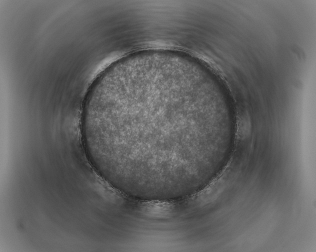 X0000112511314200909280947