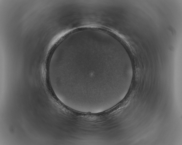 X0000112511319200909280947