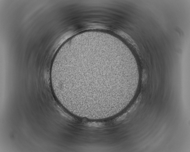 X0000112511321200909280947