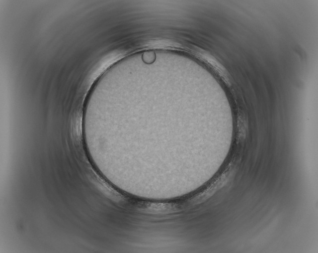 X0000112511322200909280947