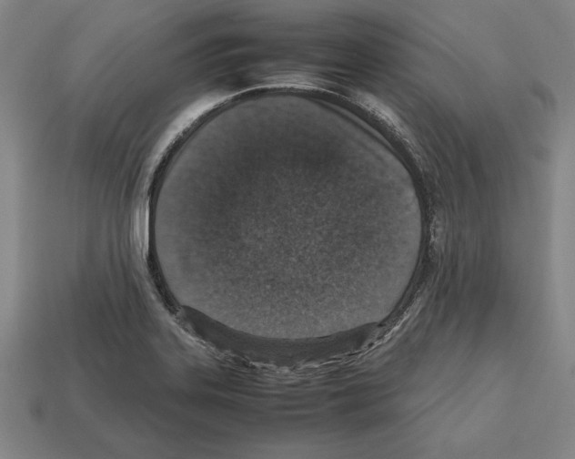 X0000112511323200909280947