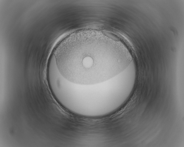 X0000112511324200909280947