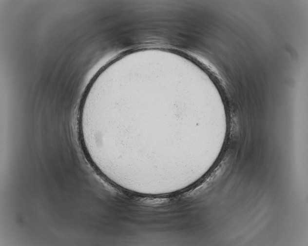 X0000112511325200909280947