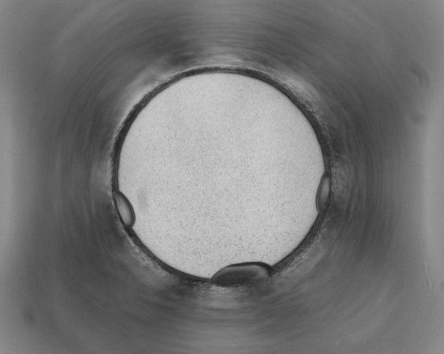 X0000112511326200909280947