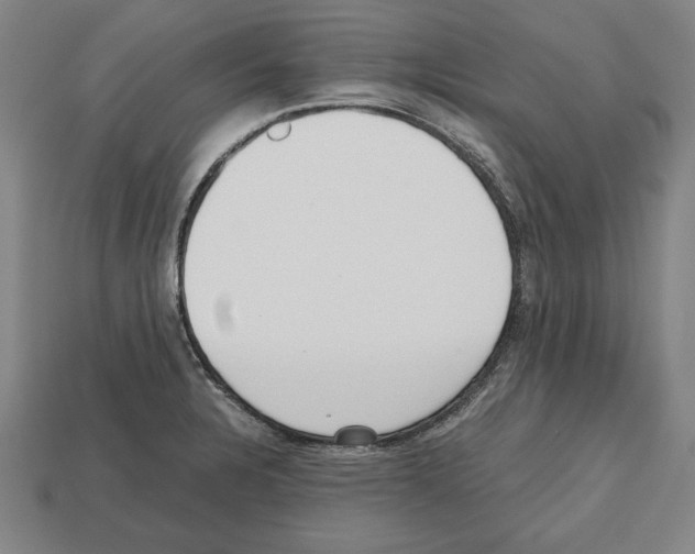 X0000112511328200909280947